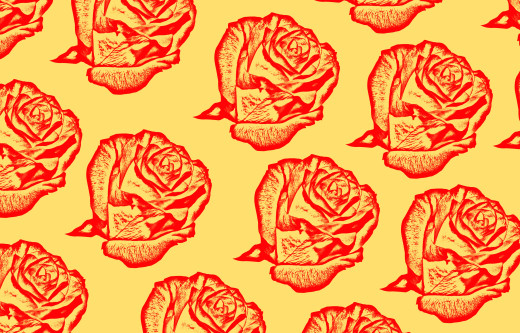 1743945 (a): :4535x2900